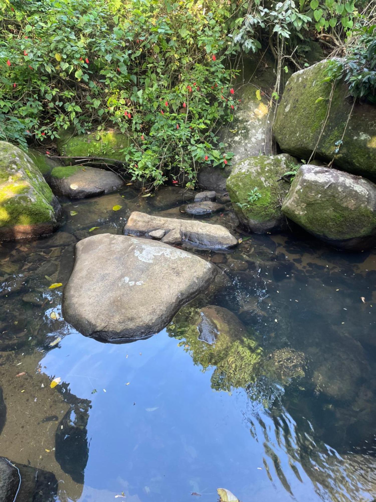 Casa Selva - Vila Do Abraao - Ilha Grande Zewnętrze zdjęcie