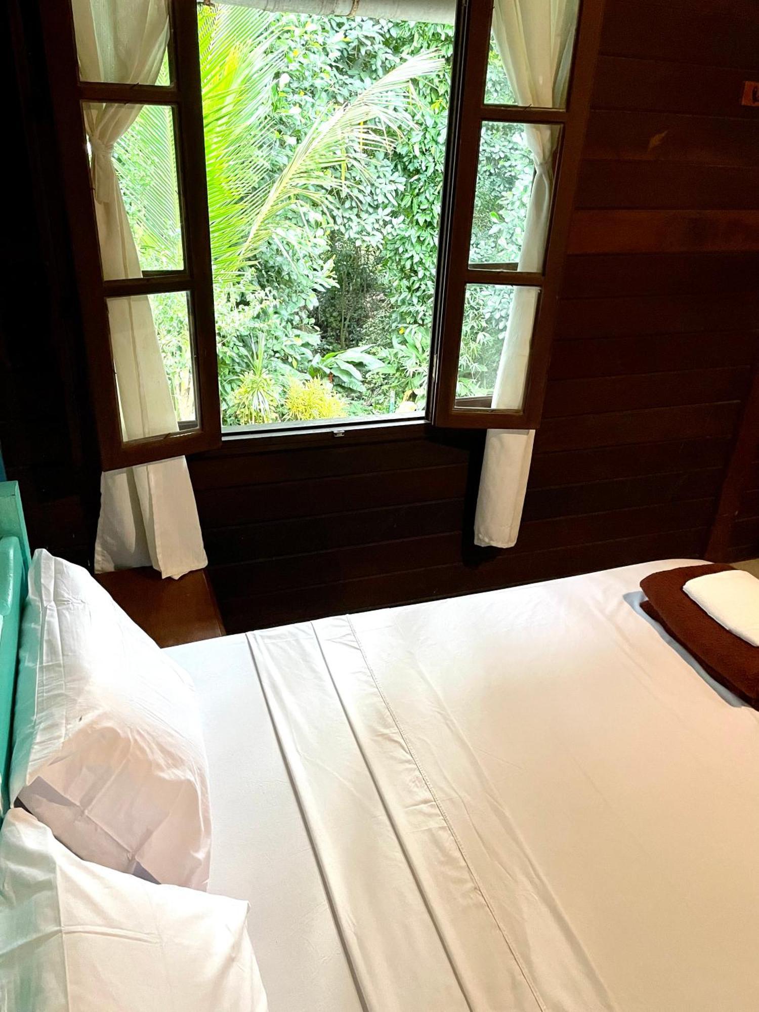Casa Selva - Vila Do Abraao - Ilha Grande Zewnętrze zdjęcie